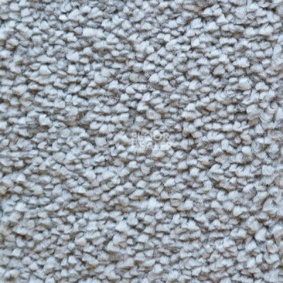 Ковролин AW Masquerade Narcisse 92 фото 1 | FLOORDEALER